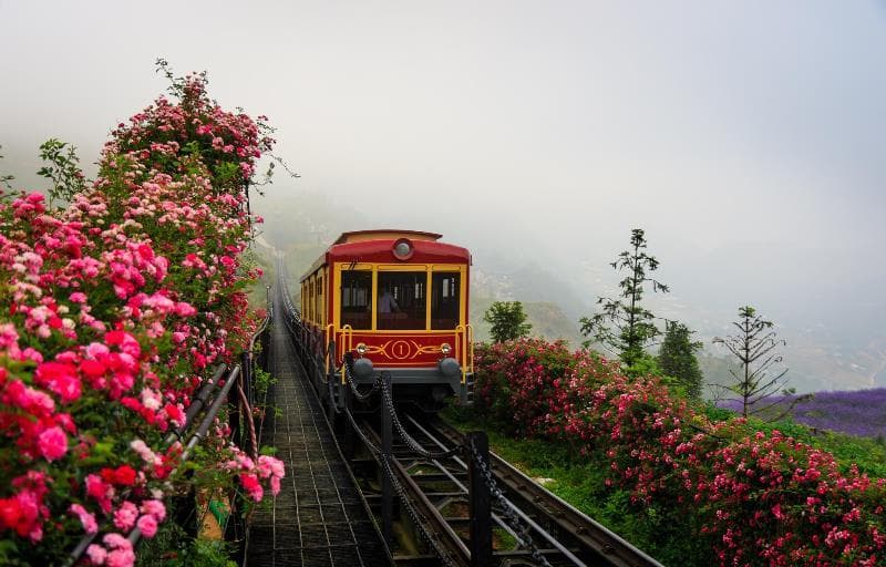 Tàu Fansipan Chiều lên Đỉnh Fansipan